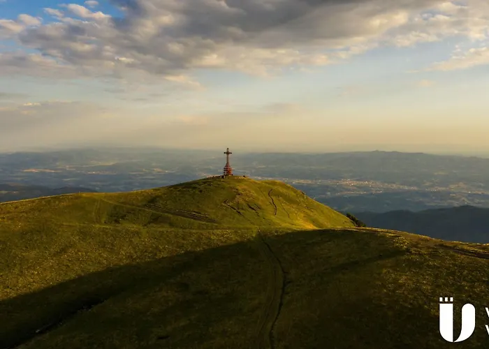 Flache Linde By Interhome Terranuova Bracciolini