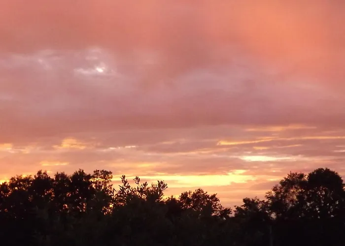 Flache Linde By Interhome Apartamento Terranuova Bracciolini